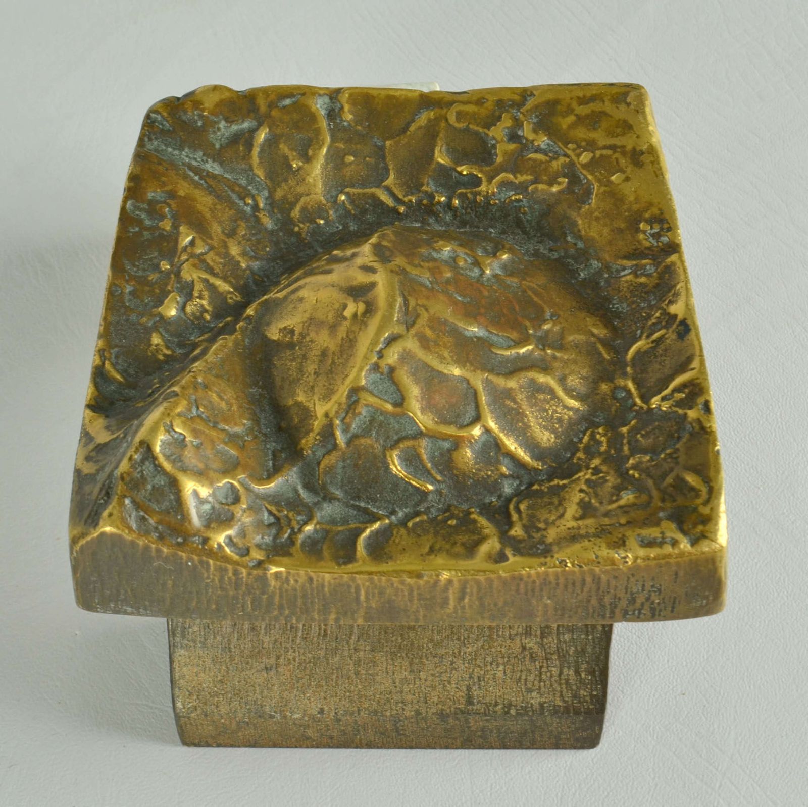 Tree Pairs Of Square Bronze Push Pull Door Handles With Tree Relief photo vintage