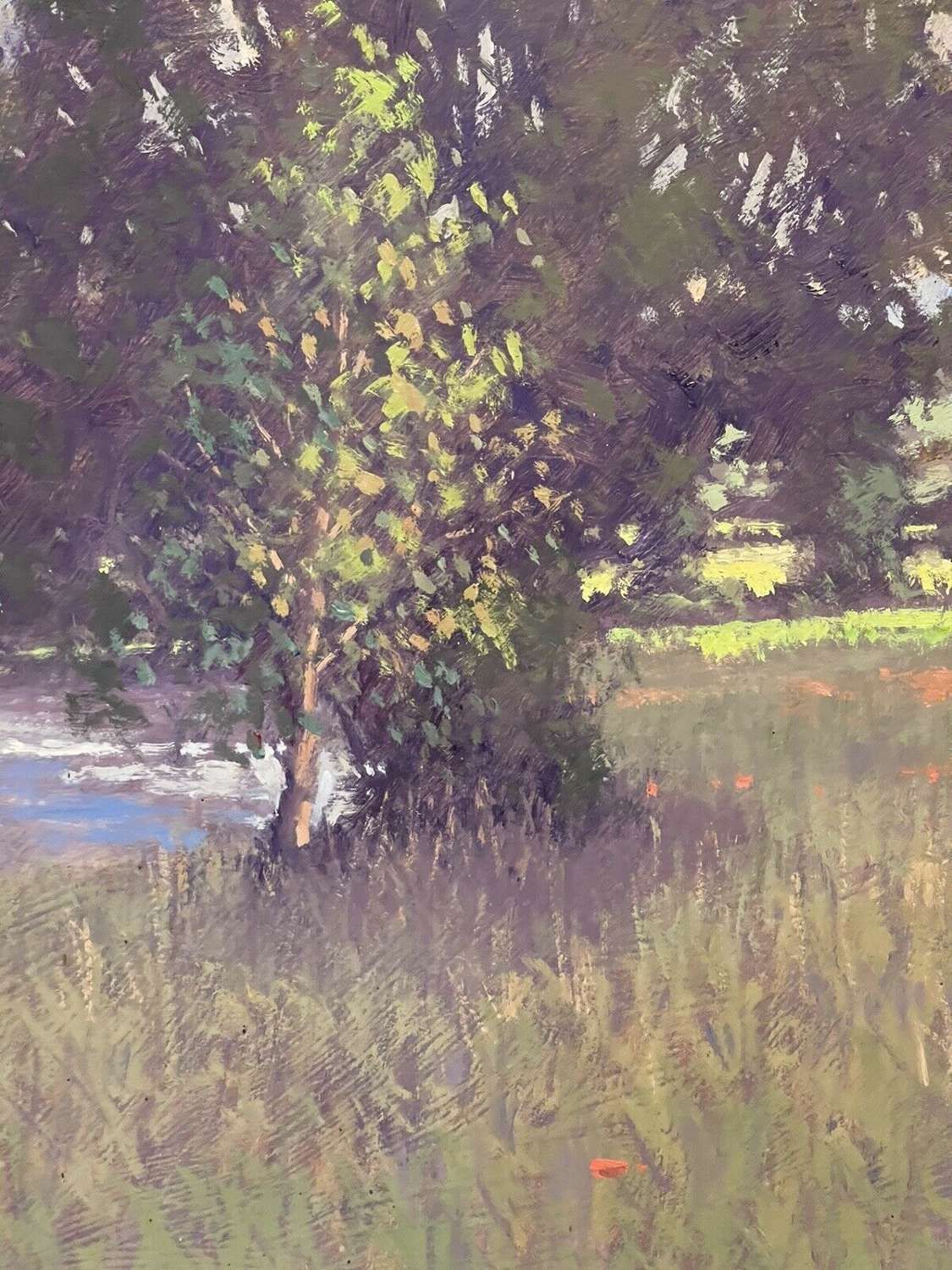 Stream And Poppies Oil On Board Original Landscape Umborne Devon photo for sale