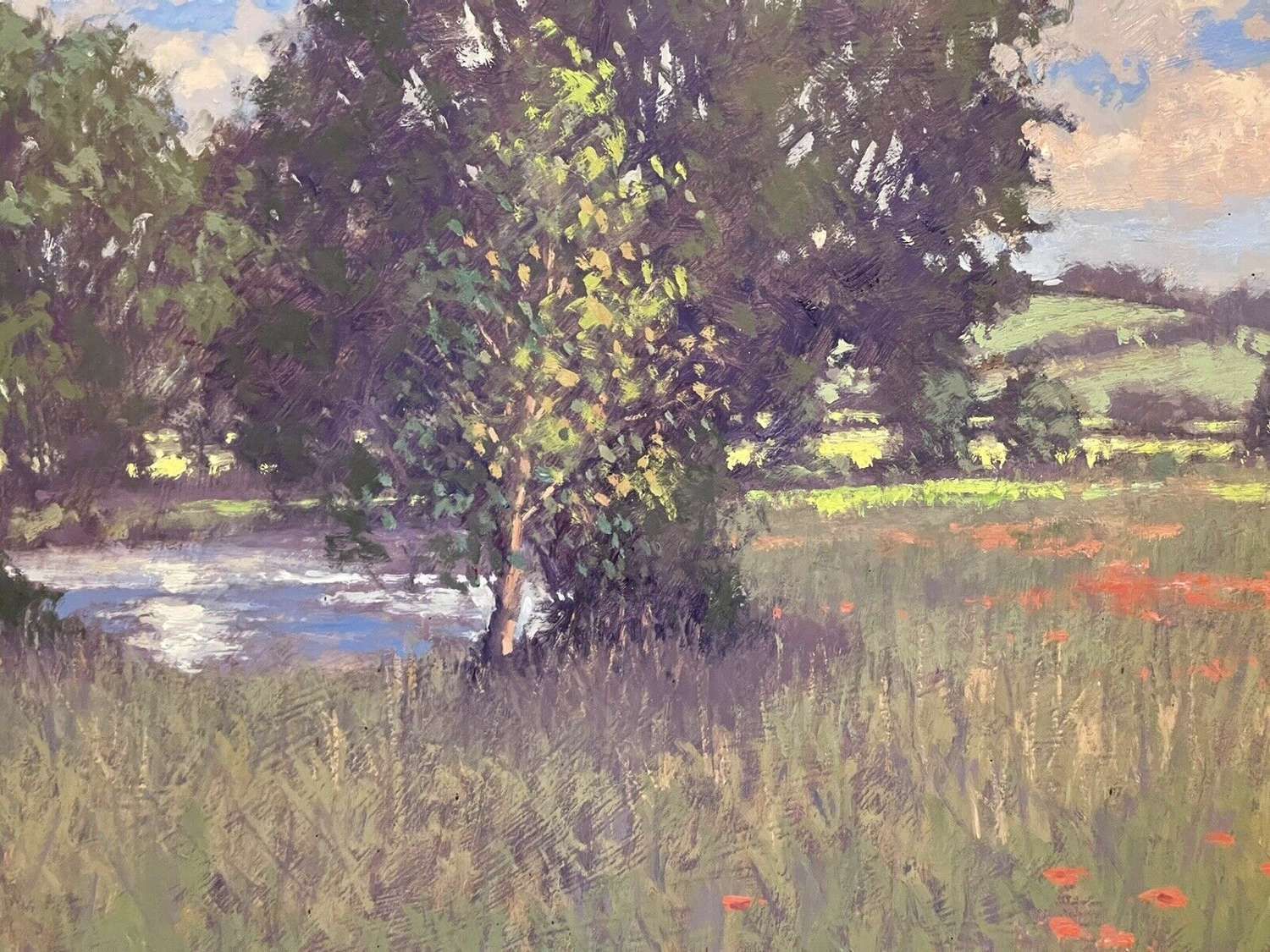 Stream And Poppies Oil On Board Original Landscape Umborne Devon photo buy