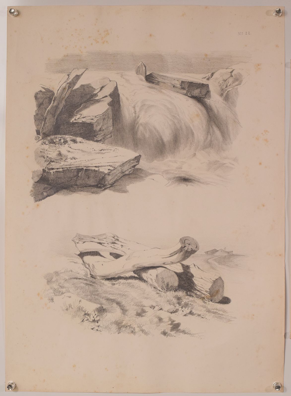 Set Of 11 Pencil Studies Of Nature photo Art
