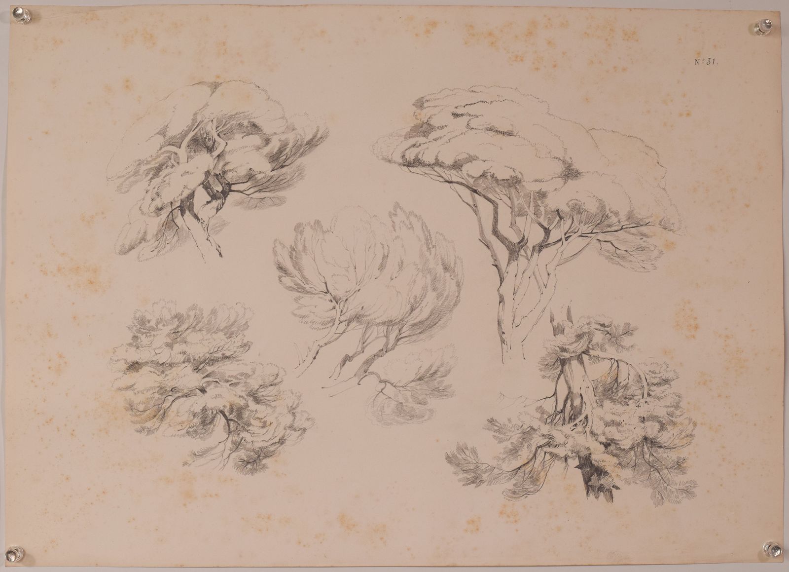 Set Of 11 Pencil Studies Of Nature photo vintage