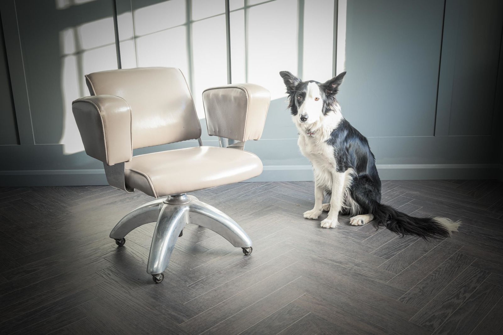 photo for sale Tansad De Luxe V.26 Grey Leather Office Chair