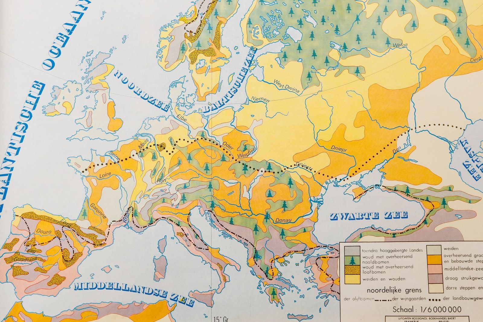 Original Vintage Flemish Educational School Wall Chart Europe Vegetation Political Geology Map Beautiful Rare photo furniture