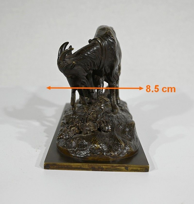 Art Bronze “The Goat And Its Kid” – Late 19th Century photo