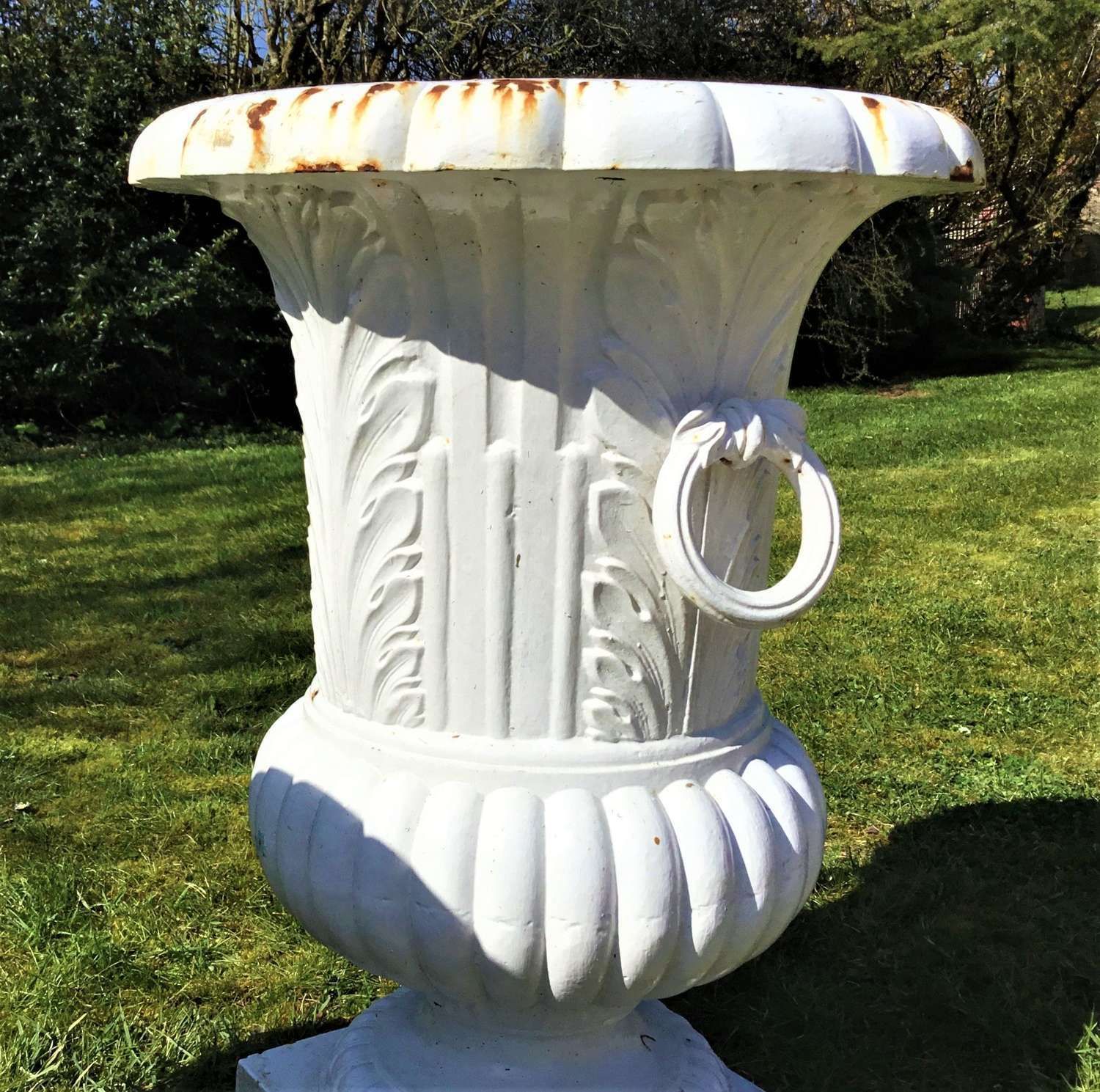 photo for sale C19th Large Cast Iron Garden Urns