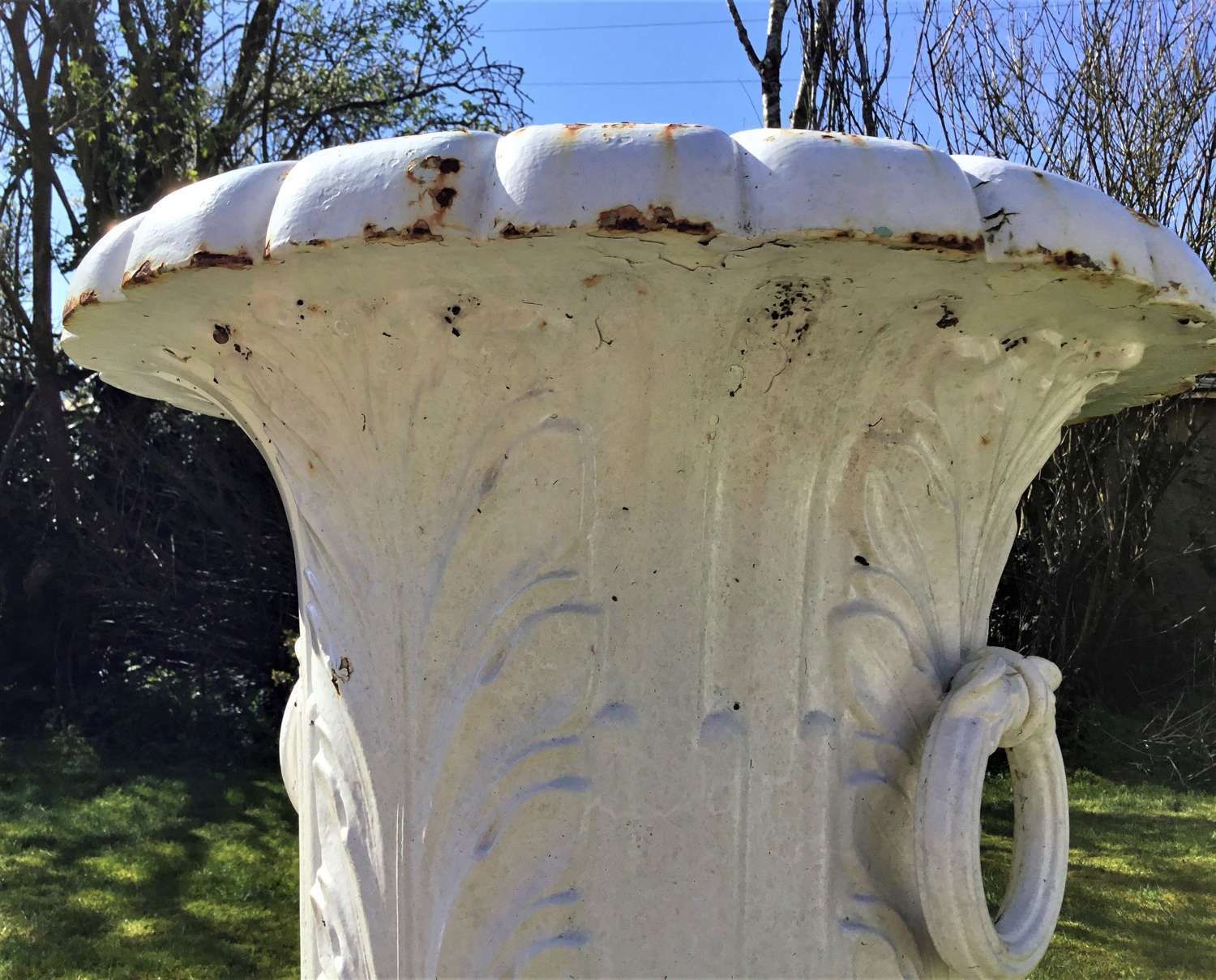 3000.0 C19th Large Cast Iron Garden Urns photo
