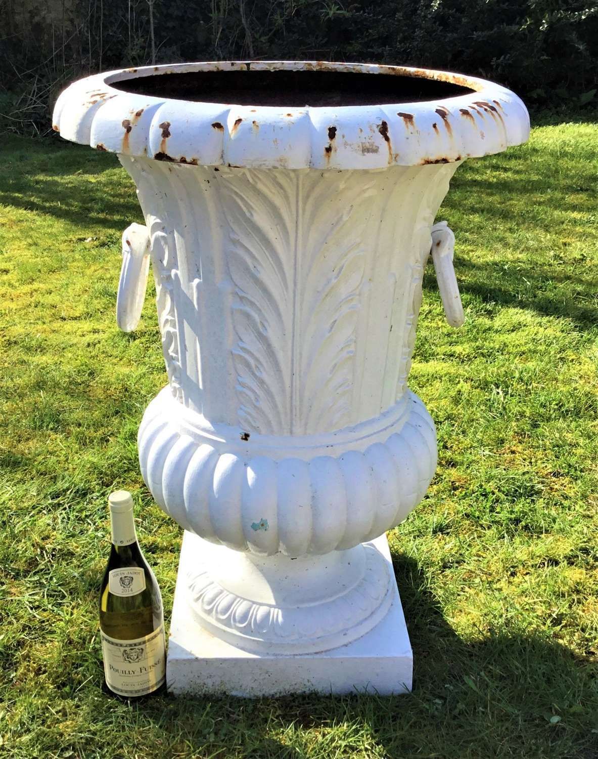 photo vinterior C19th Large Cast Iron Garden Urns