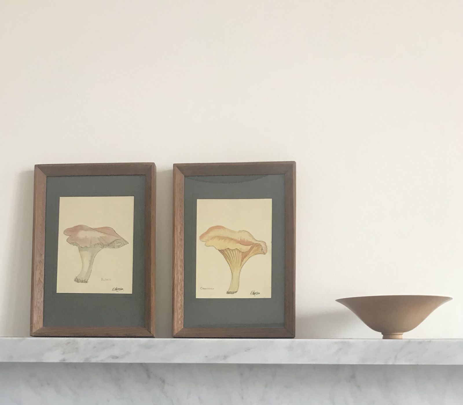 Mid Century Original Watercolor Botanical Study Of Mushrooms Pair Of Paintings photo for sale