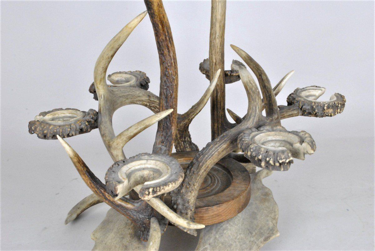 photo for sale Glass Holder And Bottle In Horn, End Of The Xi Xth Century