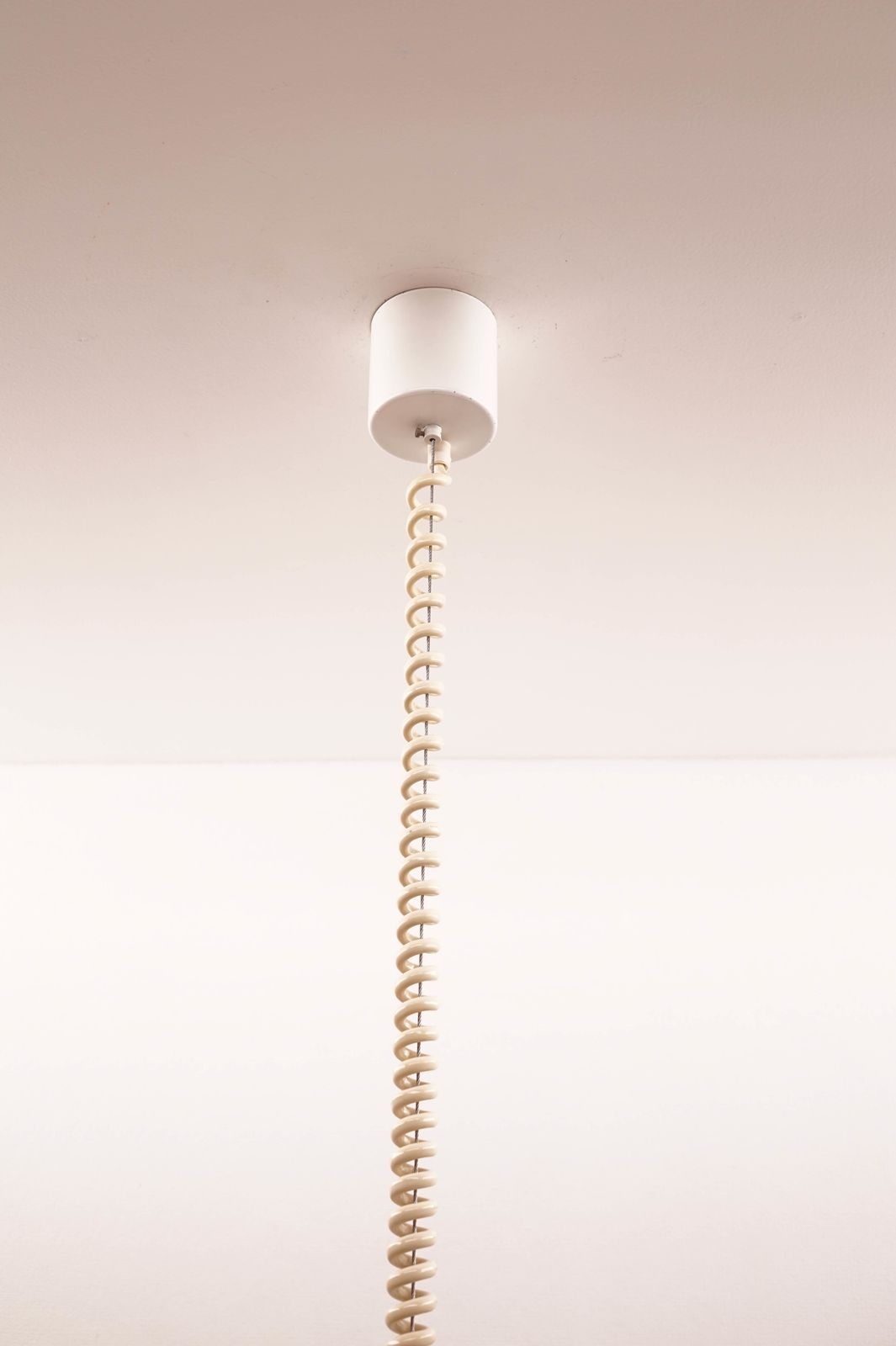 Murano Glass Flower Petal Chandelier From Kalmar photo buy