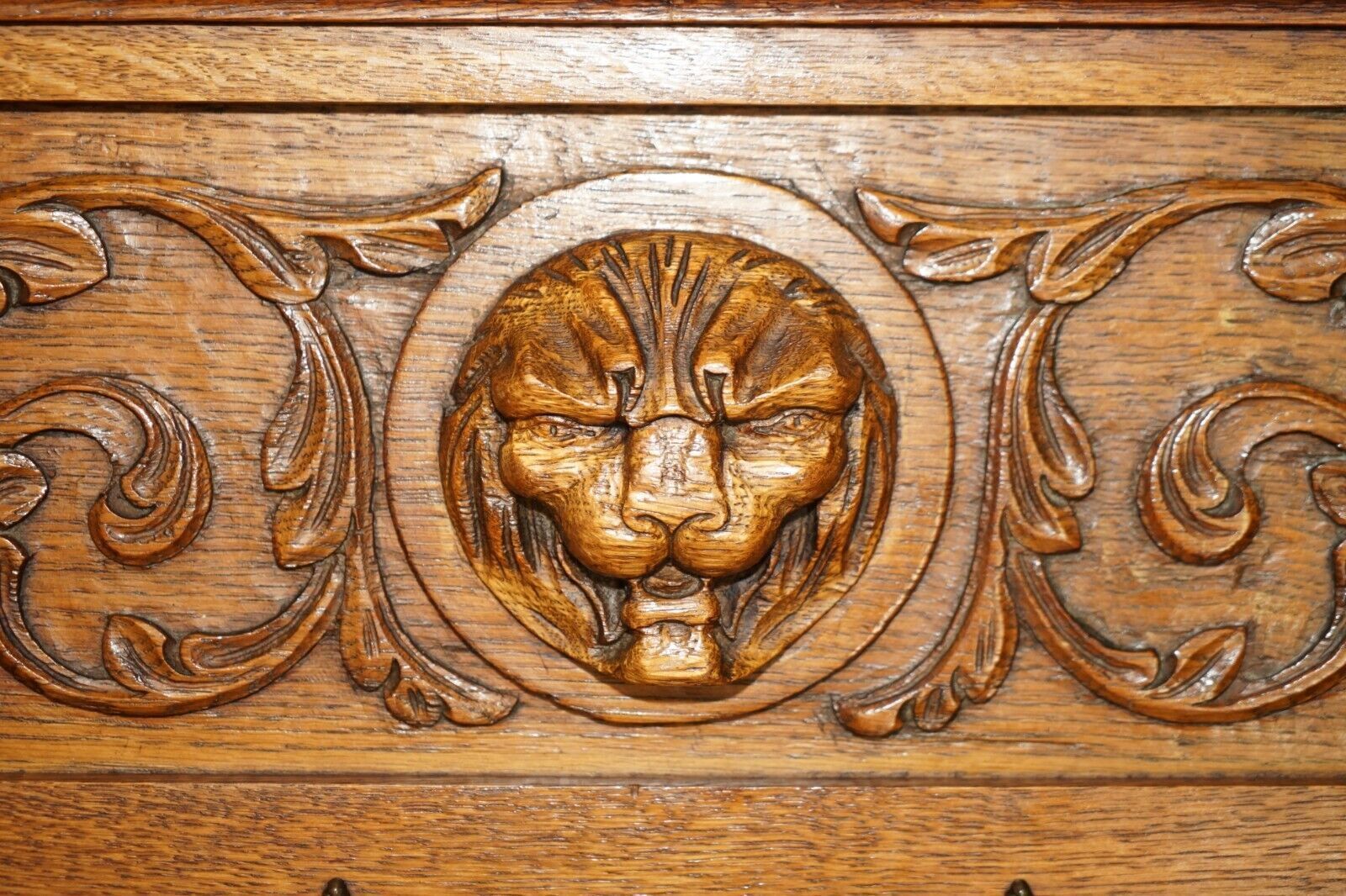 photo for sale Fine Dutch Heavily Carved Oak Coat Hat Scarf Wall Rack Hanger Lion Head Carved