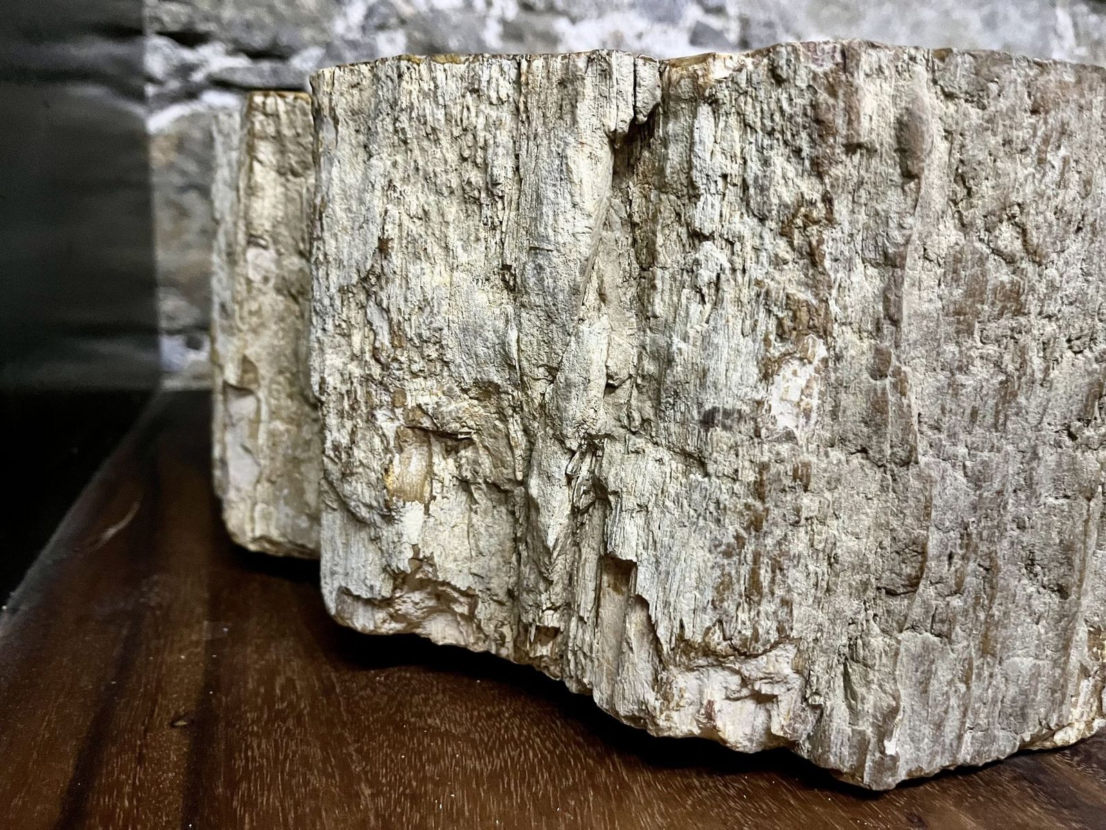 Petrified Wood Sink Beige/ Brown/ Grey Tones, Polished   Top Quality photo Home Decor