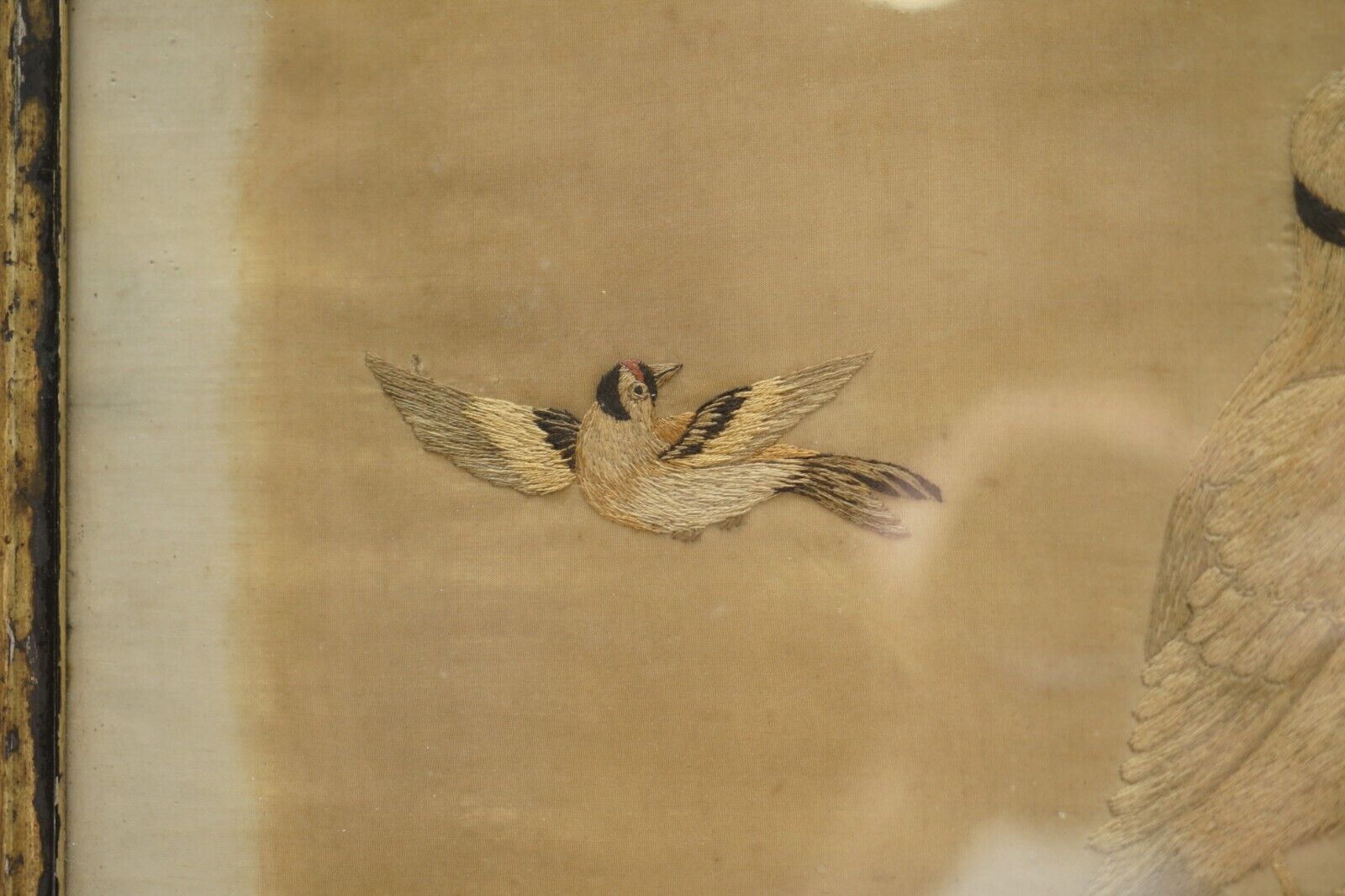 photo for sale Pair Of 19th Century Silk Hand Woven Tapestries Pictures Depicting Birds Fruit