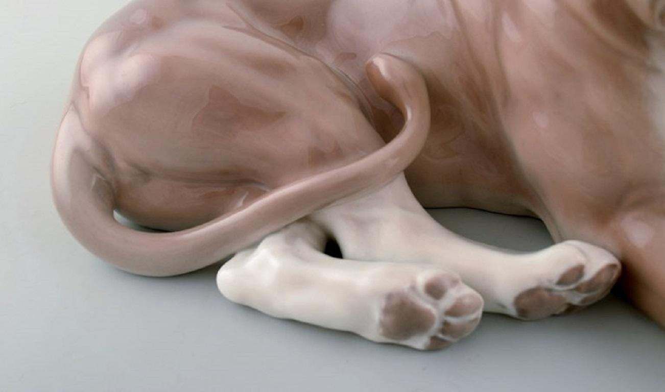 Royal Copenhagen, Figurine In Porcelain, Lioness photo 438.0