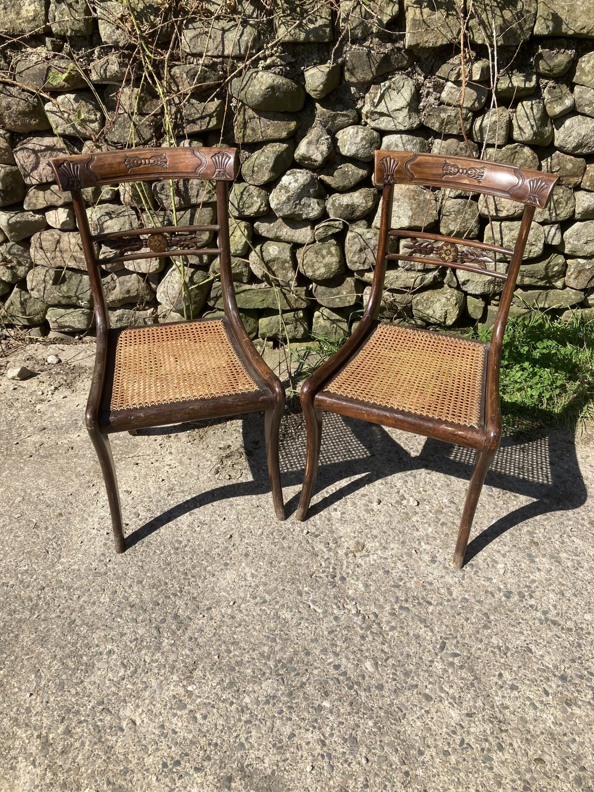 Pair Of 1800s Simulated Rosewood, Cane, Saber Leg Dining Chairs photo Furniture