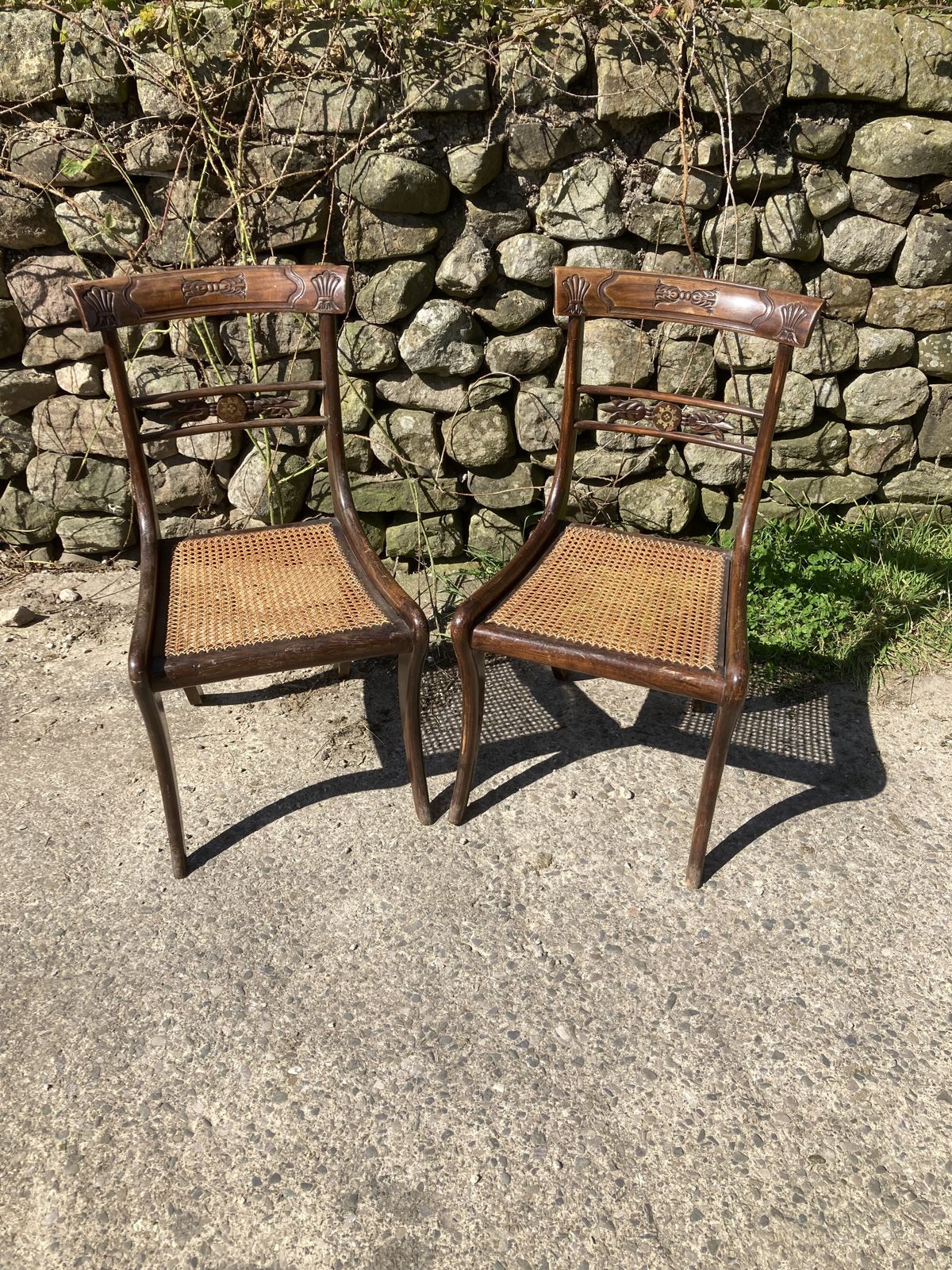 Pair Of 1800s Simulated Rosewood, Cane, Saber Leg Dining Chairs photo vinterior