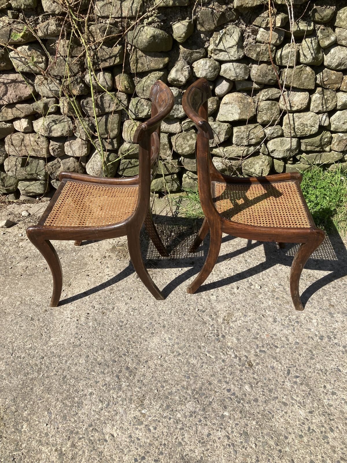 photo vinterior Pair Of 1800s Simulated Rosewood, Cane, Saber Leg Dining Chairs