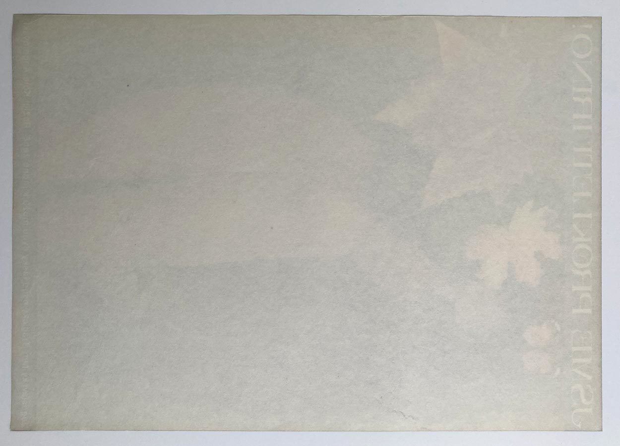 Original Movie Poster, We’re Cursed, Irina, Olga Poláčková Vyleťalová, 1977, Genuine Czech Vintage Print photo 69.0