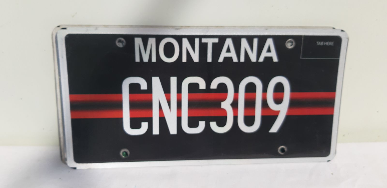 8 American License Plates In Tole photo Home Decor