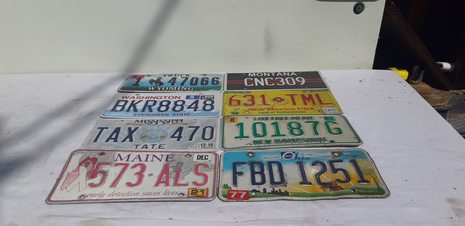 8 American License Plates In Tole