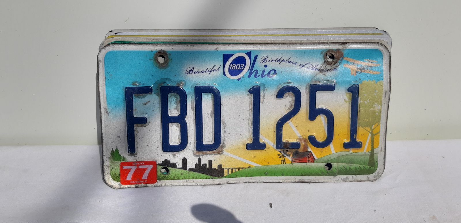 photo for sale 8 American License Plates In Tole