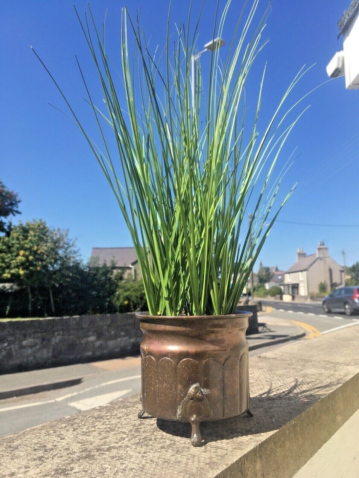 Small Antique Metal Footed Planter Copper Regency Arched Plant Herb Pot Vintage photo furniture