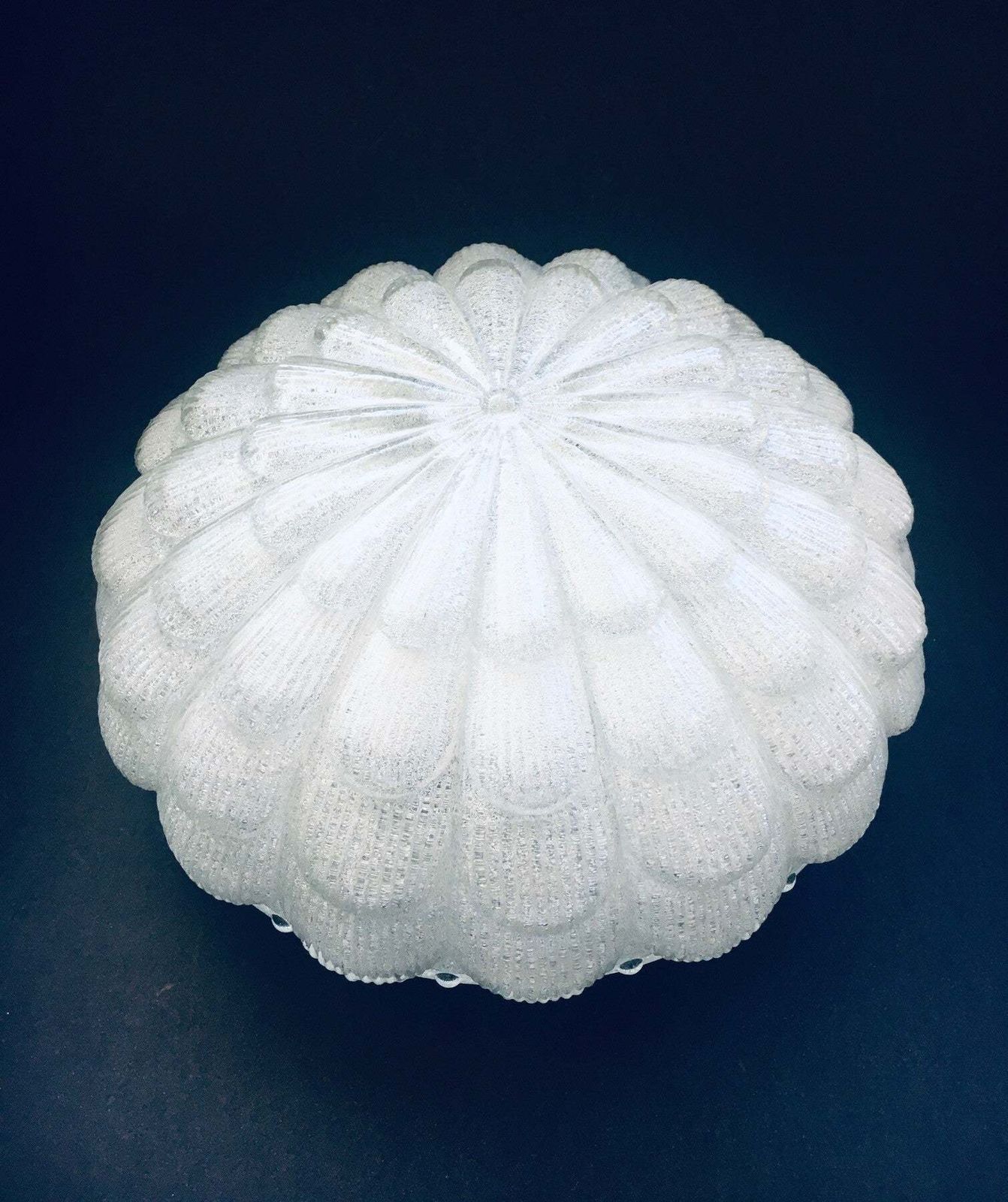 Mid Century Modern Design Grote Matglazen Bloem Wandlamp