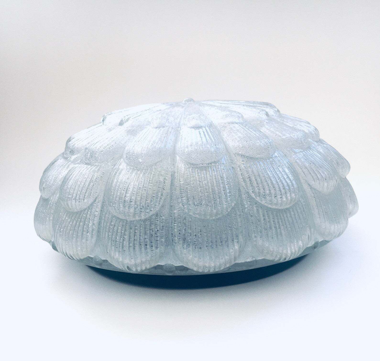 Mid Century Modern Design Grote Matglazen Bloem Wandlamp photo vinterior