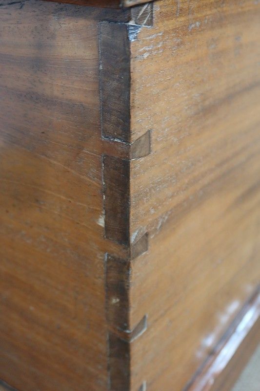 photo furniture Mahogany Travel Trunk   2nd Half Of The 19th Century
