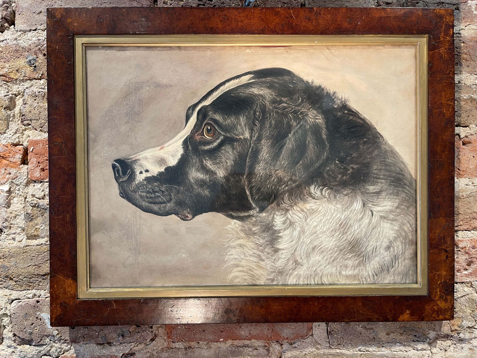 Rare Early Antique Watercolour Of Dog By Sought After/Collected French Artist Paul Allier Paris 1883   1953