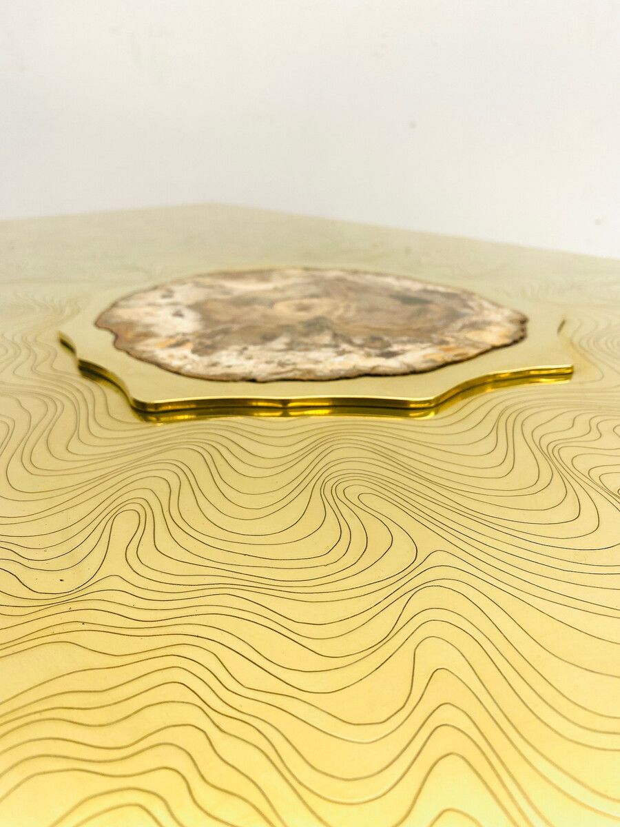 Mid Century Modern "Fossil Wood" Coffee Table In The Style Of Dario photo 6225.0