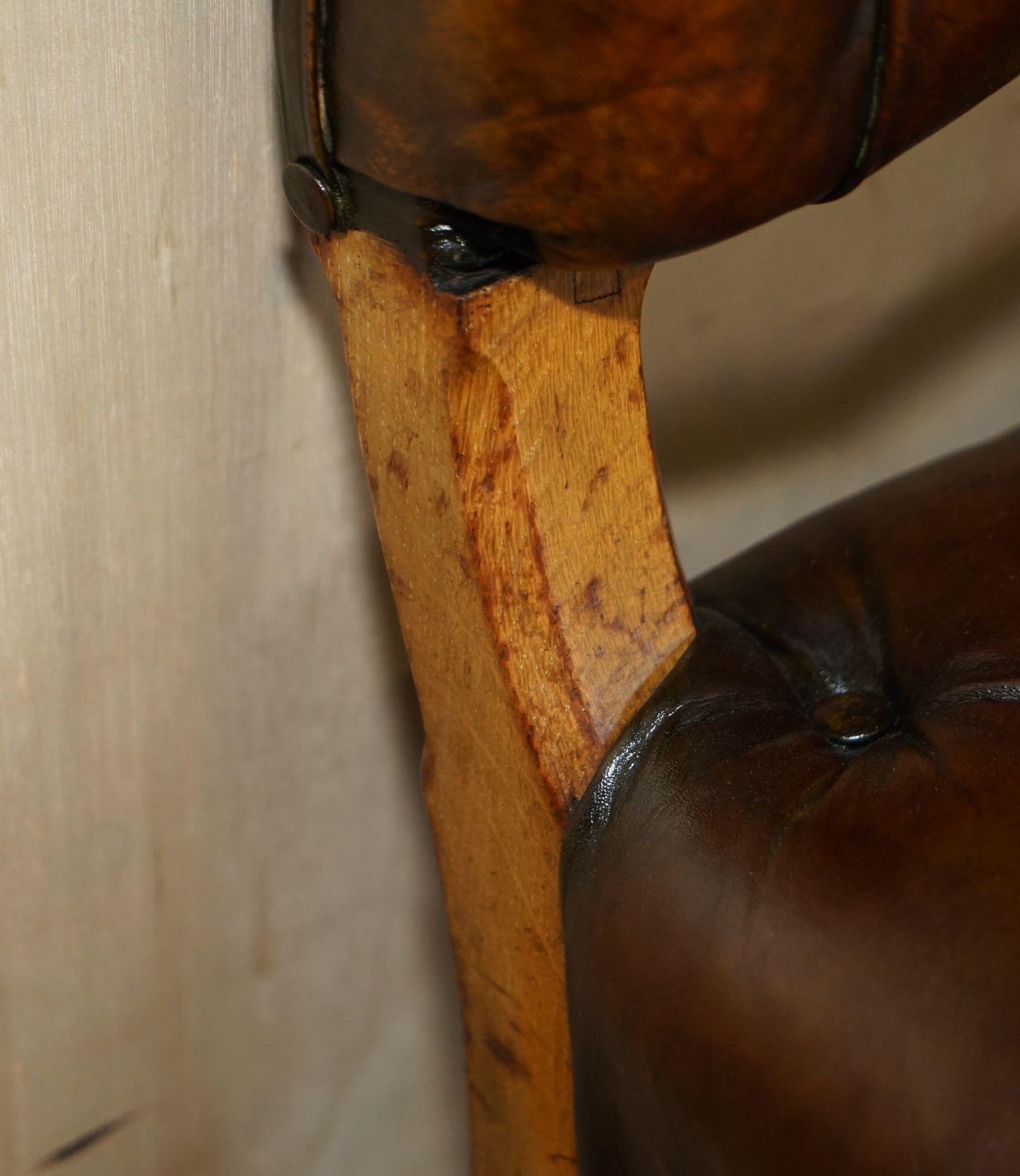 photo buy Six Antique Regency 1820 Brown Leather Pollard Oak Chesterfield Dining Chairs