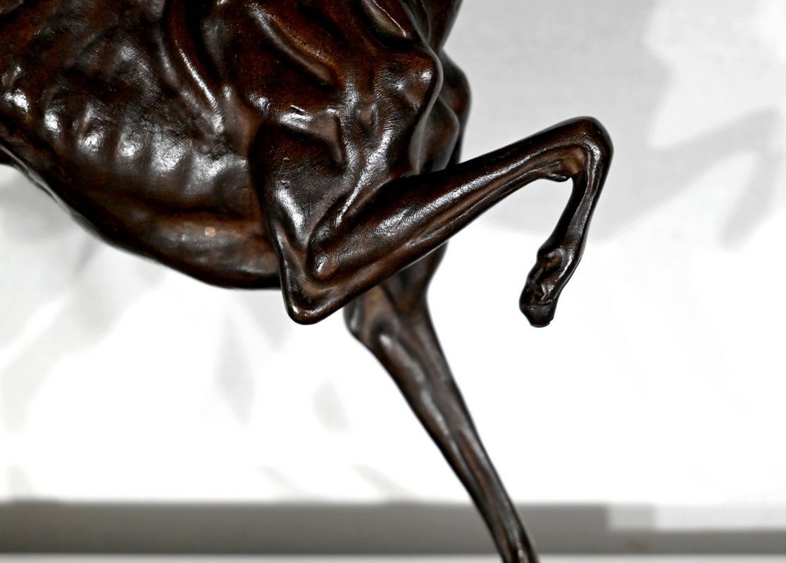 Subject In Cast Iron With Brown Patina The Greyhound  Late 19th Century photo buy