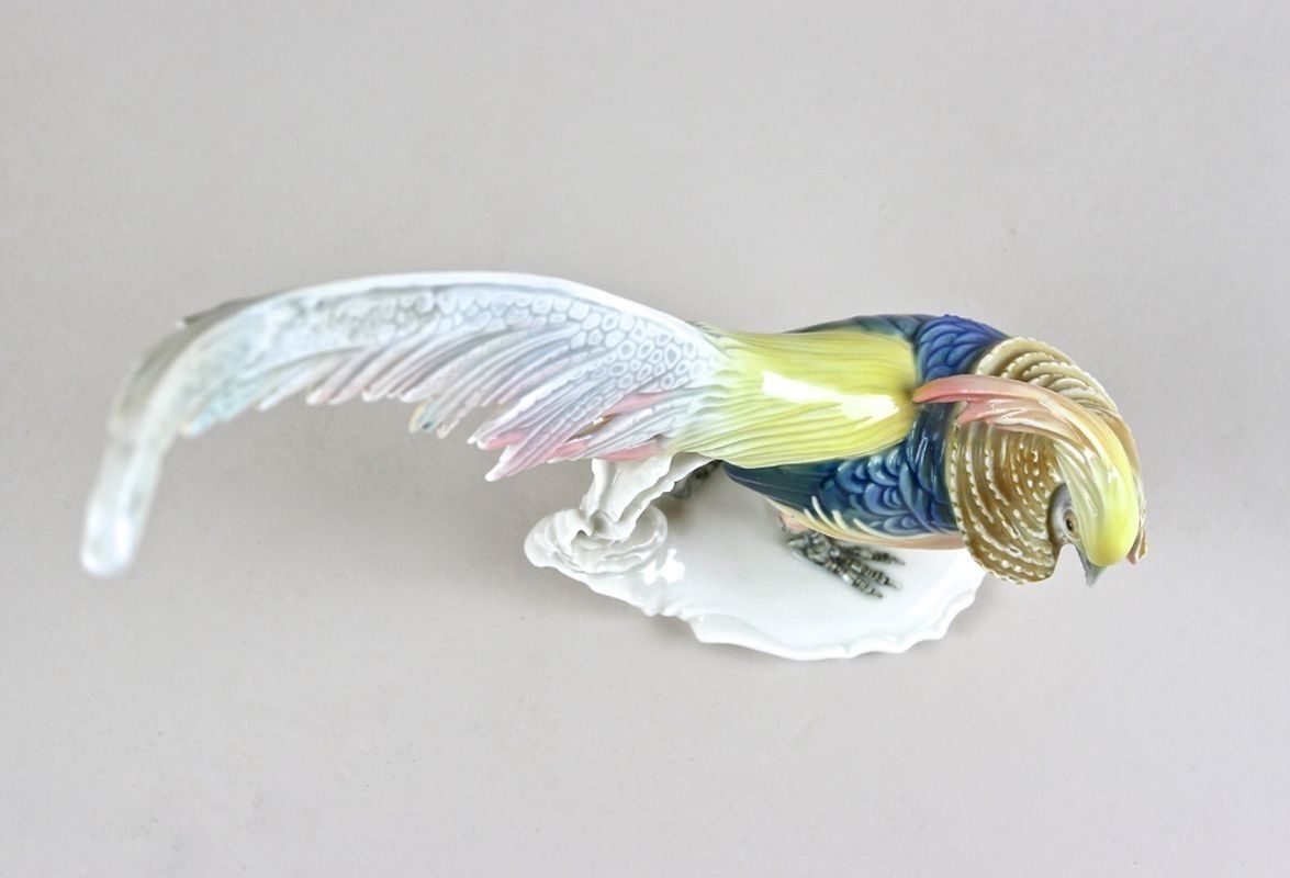 photo for sale Porcelain Figurine "Golden Pheasant" By F. Karl Ens, Germany Circa 1920