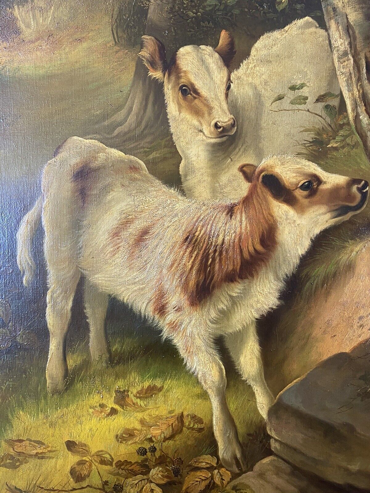 Fine Quality A H Milton Drinkwater Calves In Landscape Oil Painting Dated 1901 photo 5425.0