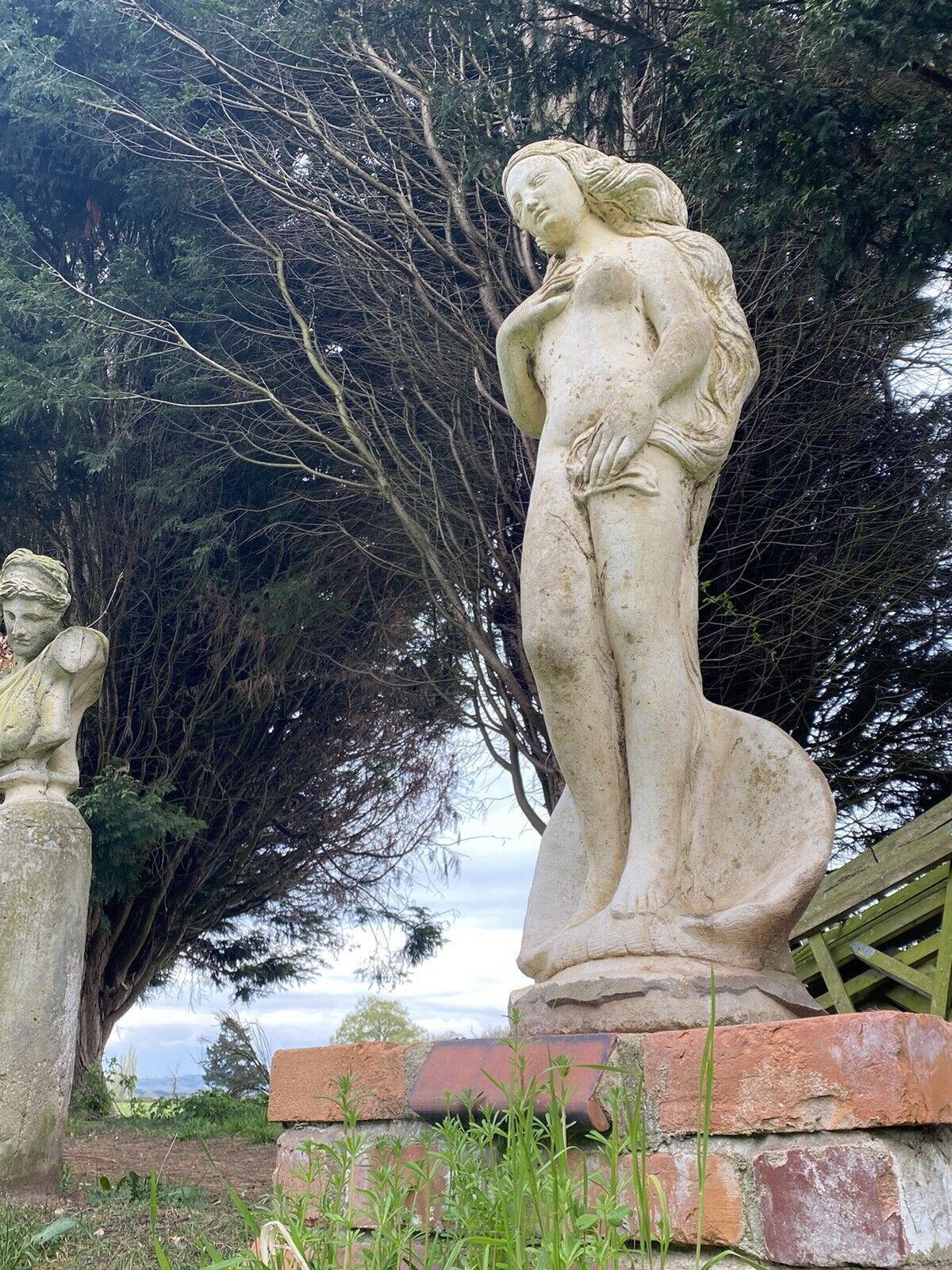 Roman Mythology Birth Of Venus After Sandro Botticelli Garden Sculpture photo for sale