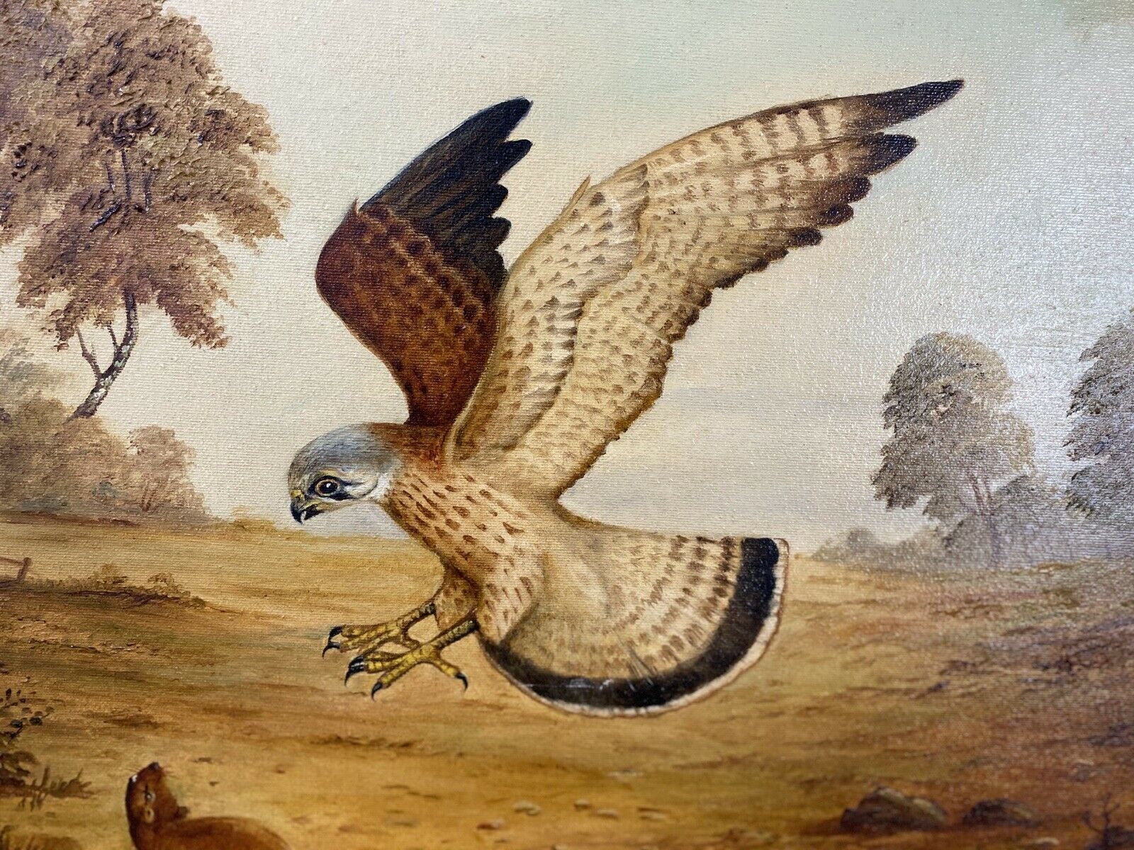 Original Oil Painting Of Hunting Birds Of Prey Signed By Artist G Millhouse photo buy