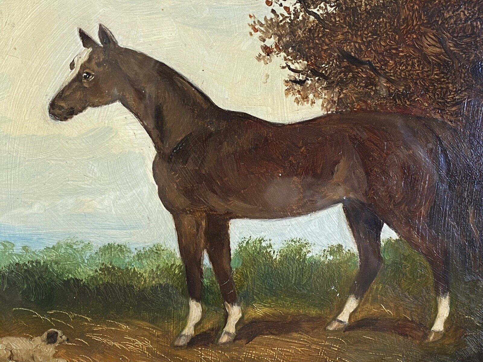 Fine Art Equine Minature Oil On Board By Renowned Artist Henry Percy photo Art