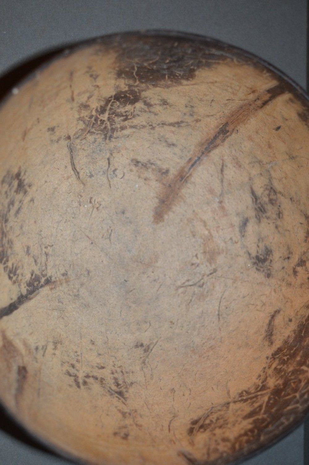 19 Th Century Chinese Carved Coconut Bowl,C1870. Chou Symbols In Gilt photo buy