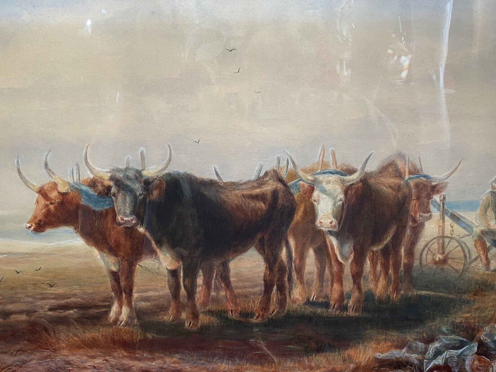 19th Century Scottish School Watercolour Of Highland Oxen With Plough Signed photo for sale