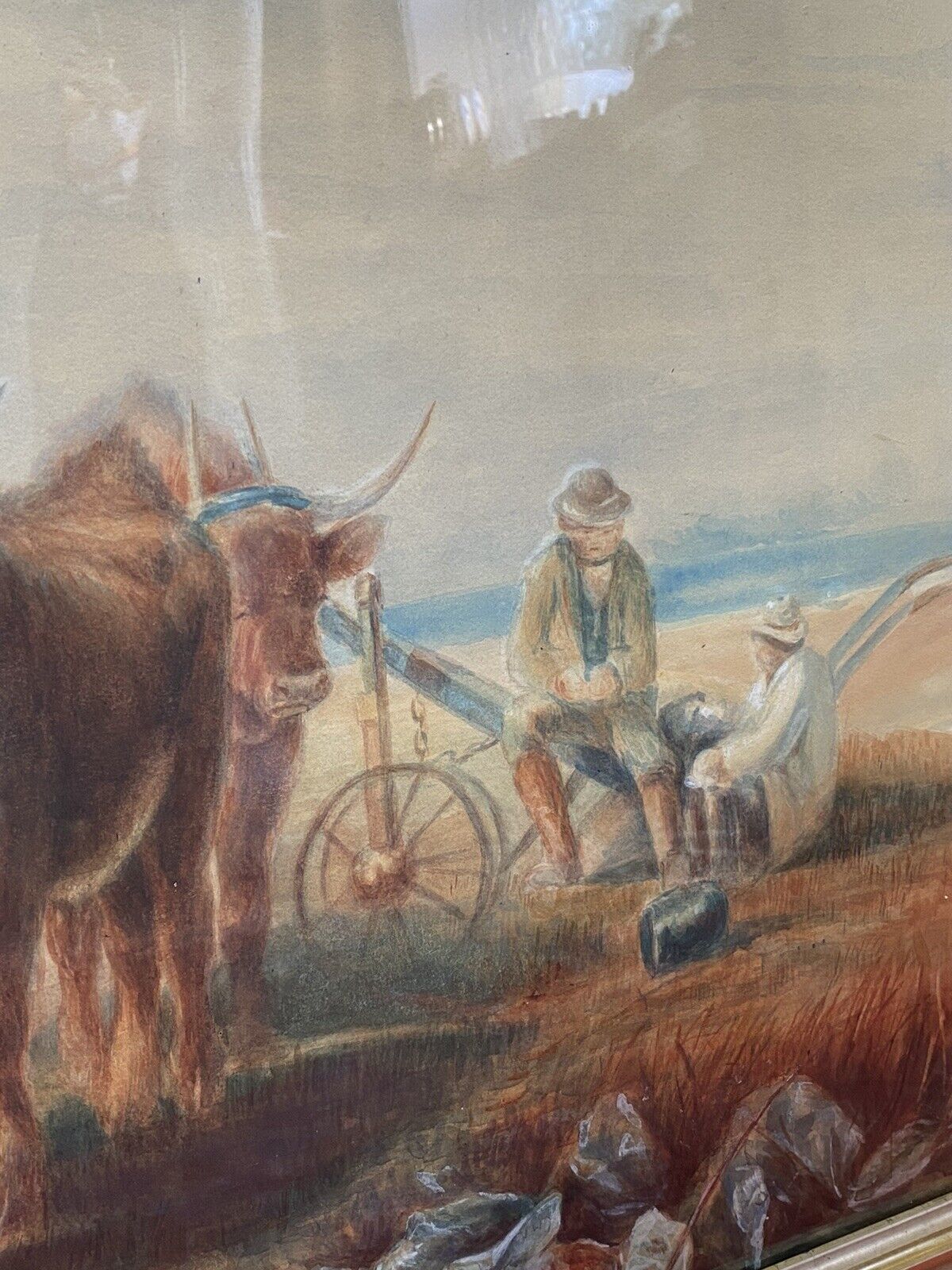 19th Century Scottish School Watercolour Of Highland Oxen With Plough Signed photo vinterior