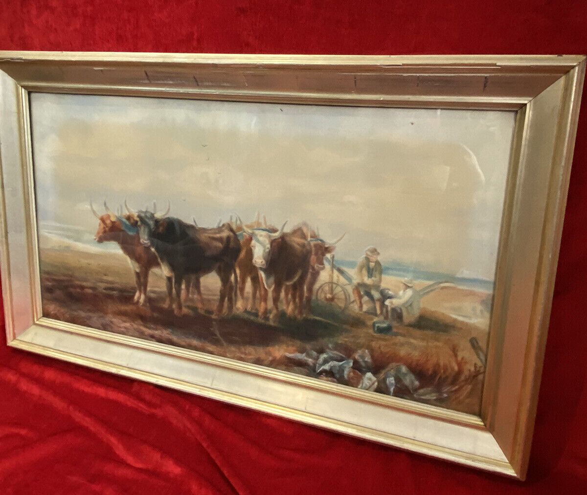 19th Century Scottish School Watercolour Of Highland Oxen With Plough Signed photo vintage