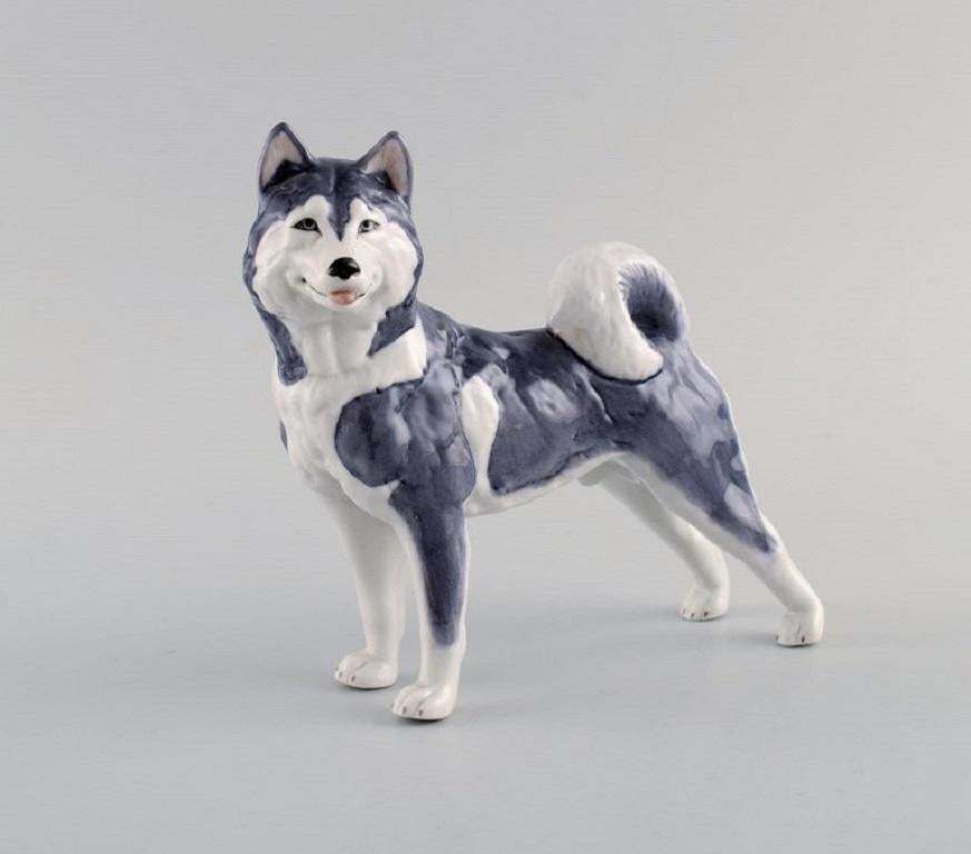 Royal Copenhagen Porcelain Figurine Siberian Husky Model Number 038 photo furniture