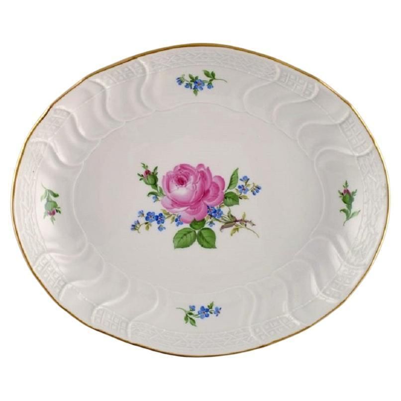 Oval Meissen Pink Rose Bowl In Hand Painted Porcelain With Gold Edge
