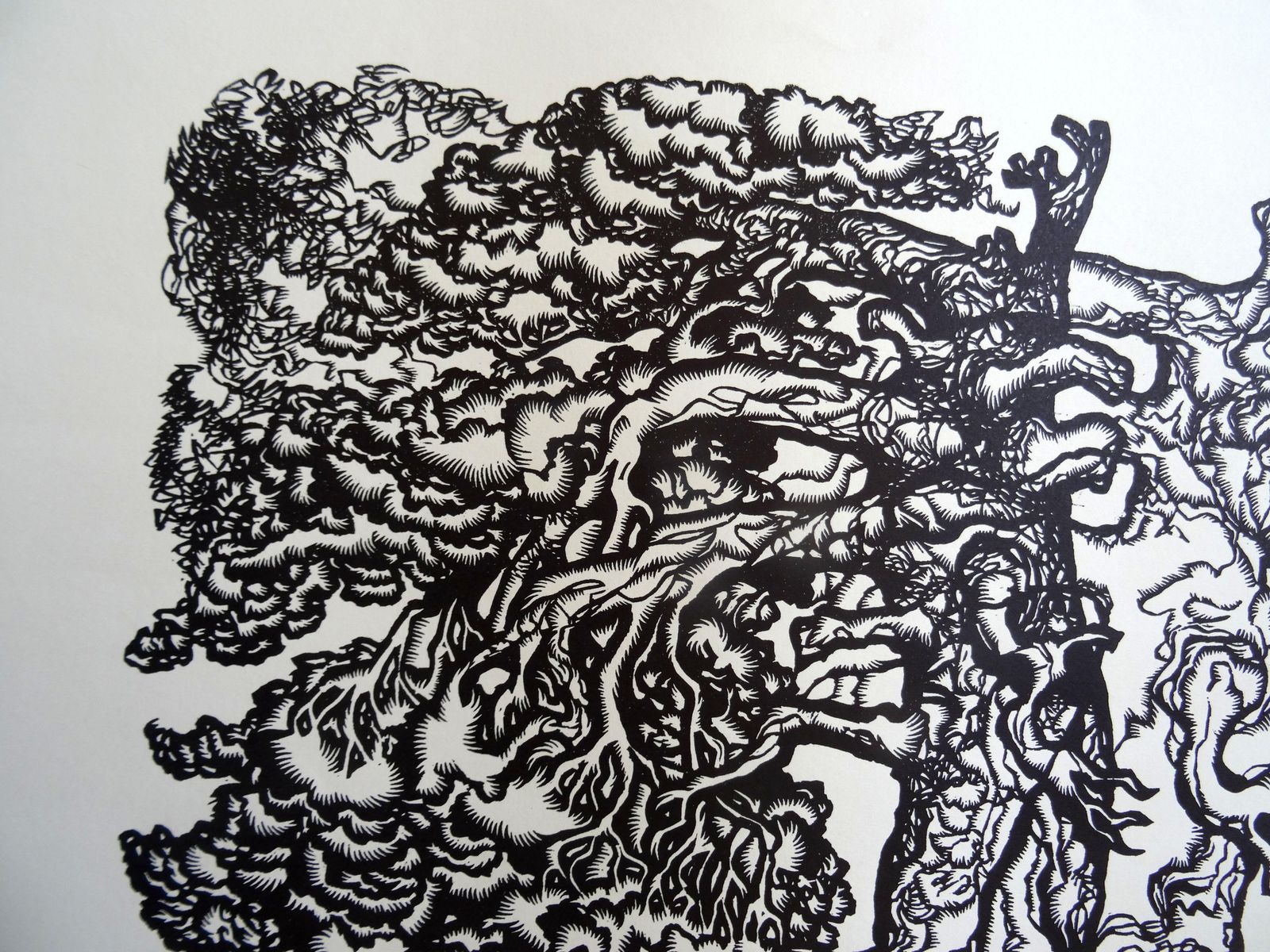 Dainis Rozkalns Pine Tree. 1978, Paper, Linocut, Print photo for sale