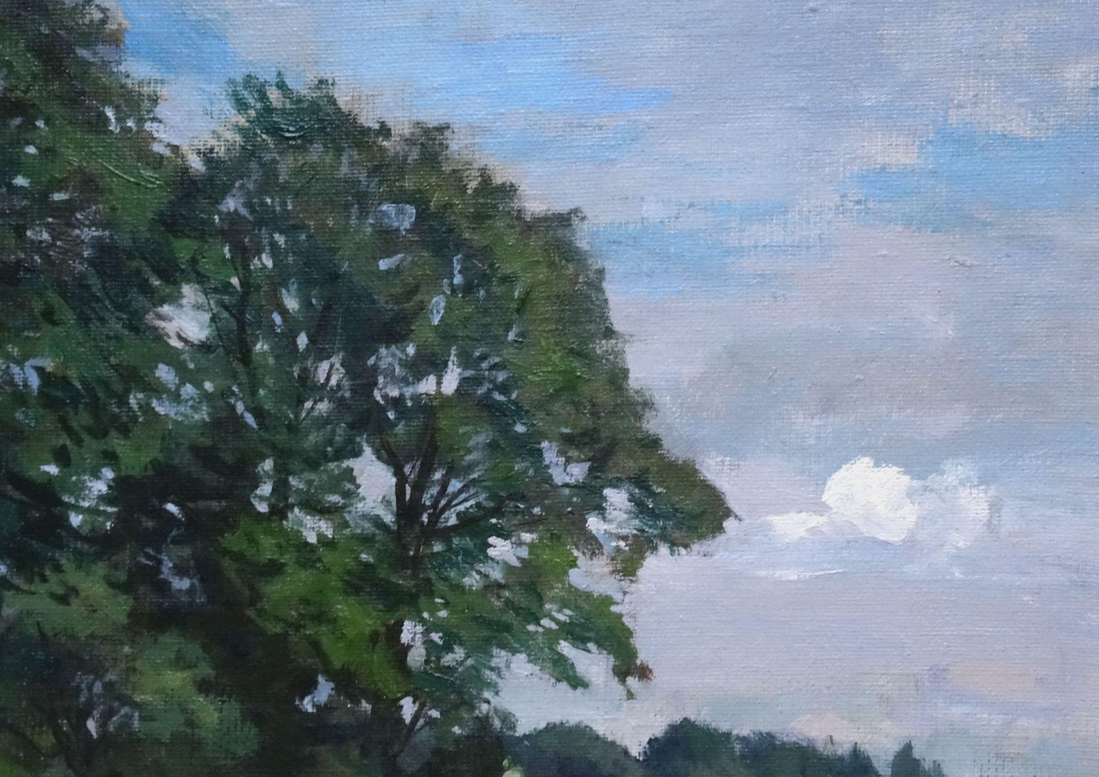 Alfejs Bromults In The Heyday Of Summer. 1988, Oil On Canvas And Cardboard photo 1313.0