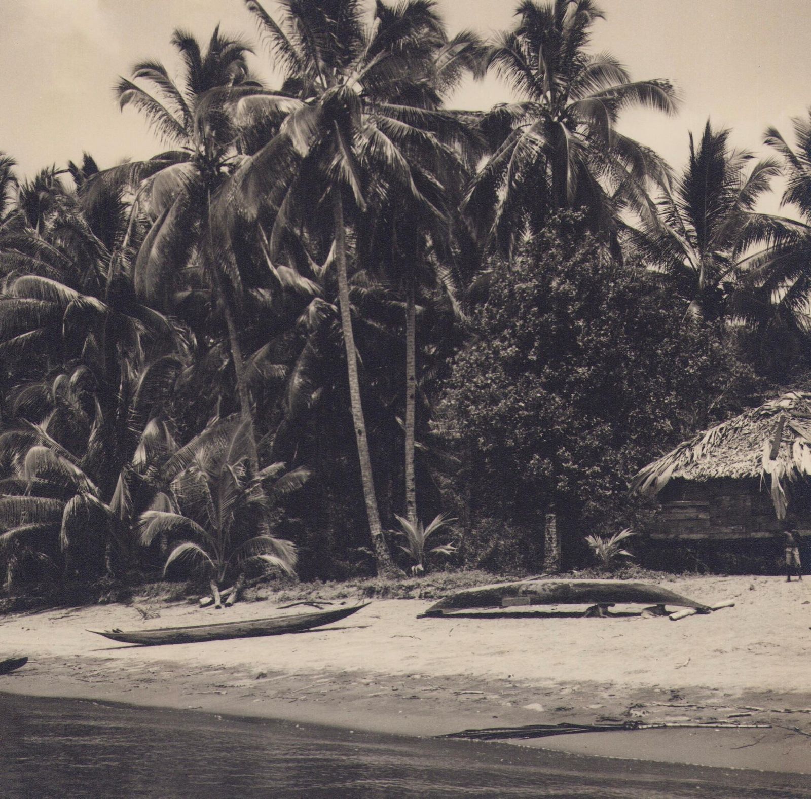 Hanna Seidel Colombia, Palm Trees, Beach, Black And White Photograph Circa 1960s photo furniture