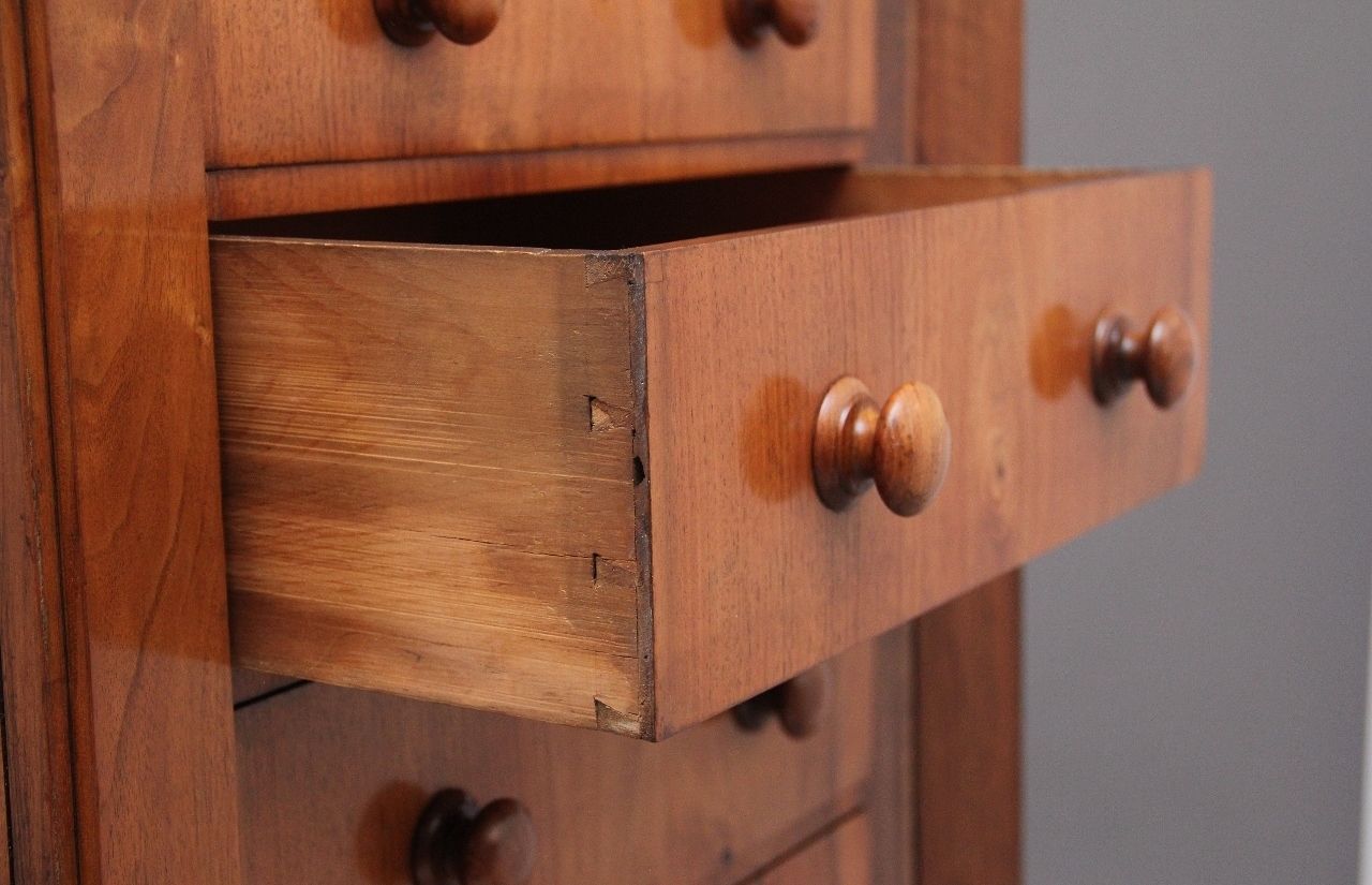 Early 19th Century Antique Regency Walnut Wellington Chest photo vinterior