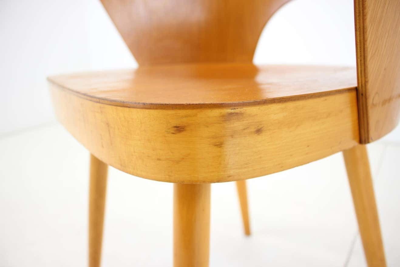 Oswald Haerdtl Beech Chair, Czechoslovakia, 1959 photo vintage