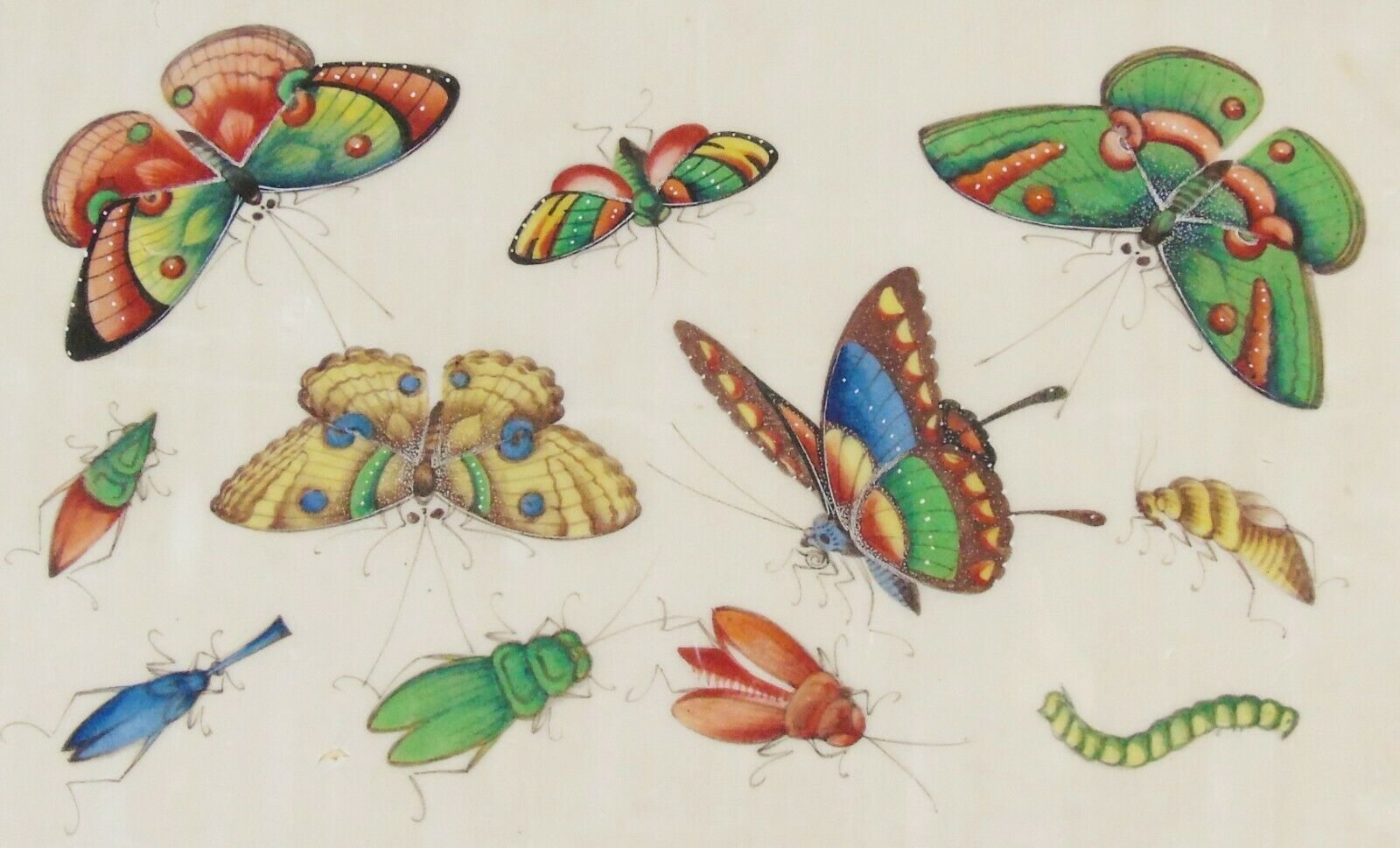 Good 19th Century Chinese Pith Painting Butterflies & Insects photo Art